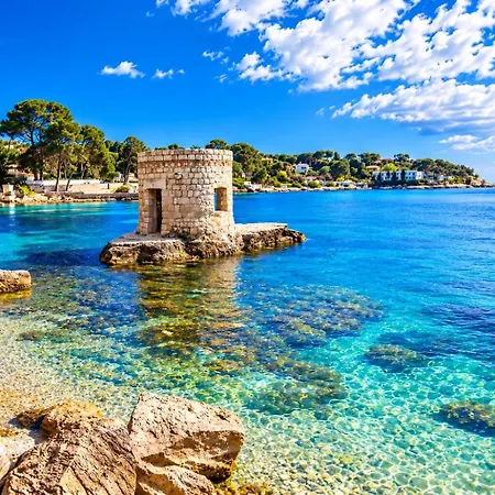 Apartment - 80 M2 Avec Piscine Et Terrasse Antibes